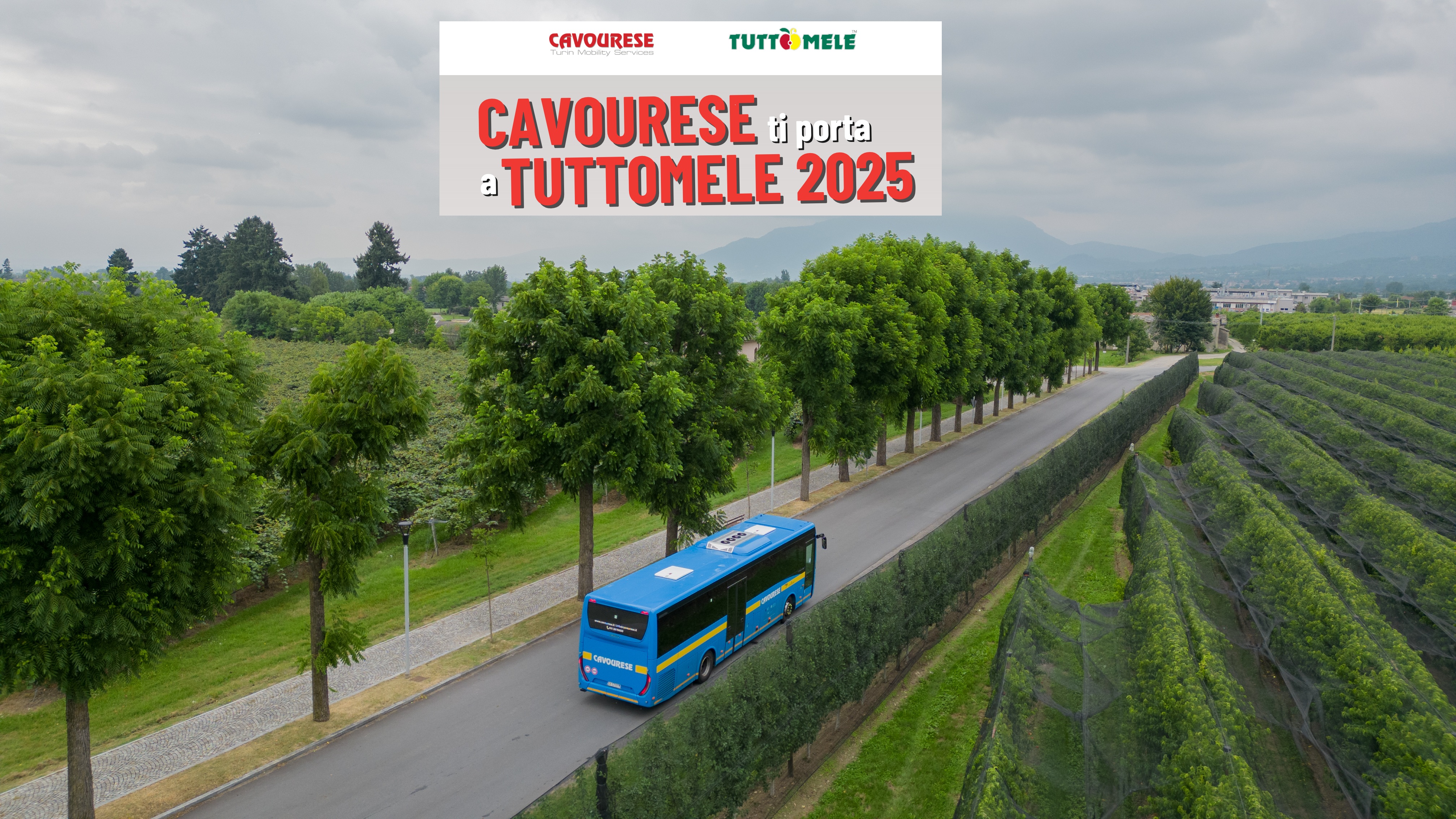 /00_homepage/testate/Cavourese_Drone__0024.jpg